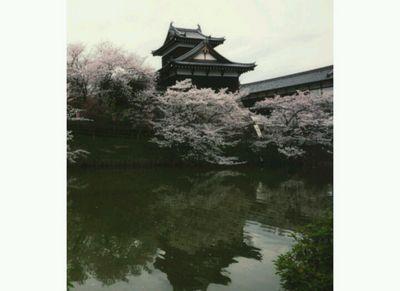 spoopydesi's profile picture. supernatural , free! iwatobi swim club , kuroko no basketball , beezlebub , karneval.