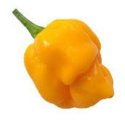 Dg5dcmS's profile picture. 