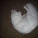 helen parrish - @lilclock51 - Twitter