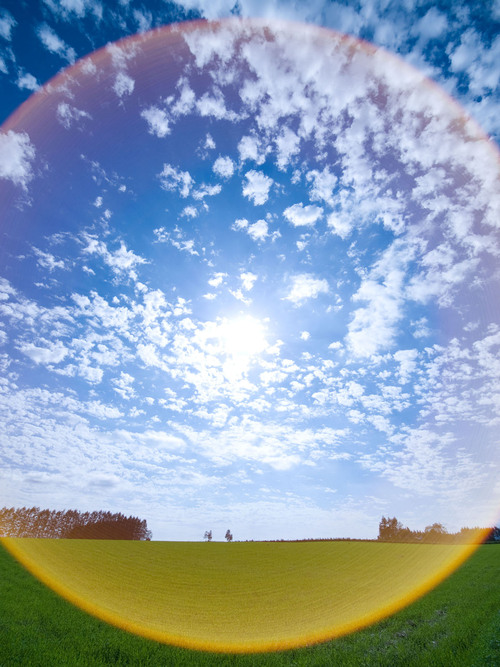 k_isopy's profile picture. 写真家。主に広告・雑誌などで撮影を行っています。カメラ誌やWebマガジンではデジカメレビューや撮影術など執筆も担当。撮影ワークショップも随時開催中。ライフワークとして人と自然の繋がりをテーマに作品発表。（公社）日本写真家協会会員