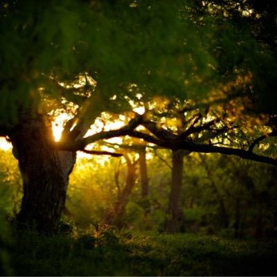 RelatableFeeli3's profile picture. 