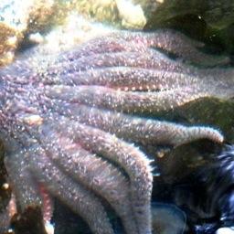 lkenned20562879's profile picture. 