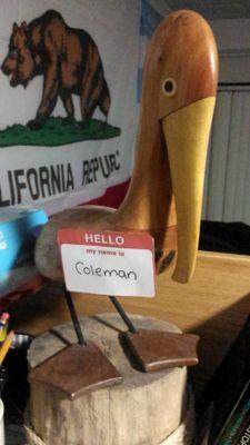 ColemanPelican's profile picture. The tweeting pelican of South Campus at Villanova University.