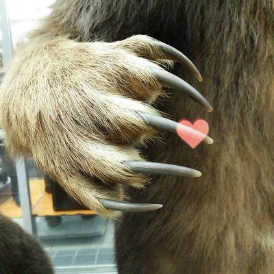 mmbbygikon's profile picture. YG