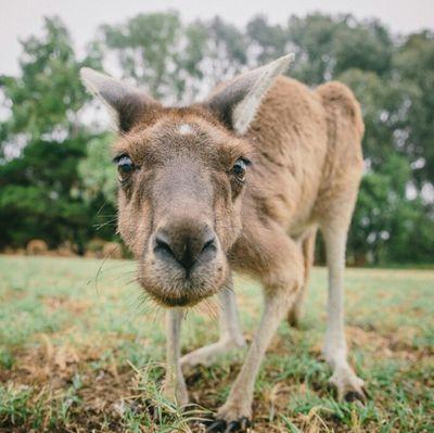 KmiloVg's profile picture. #StopPlastic