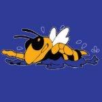 This is the official twitter page of Osbourn Park Swim and Dive teams! Follow for information about team events!