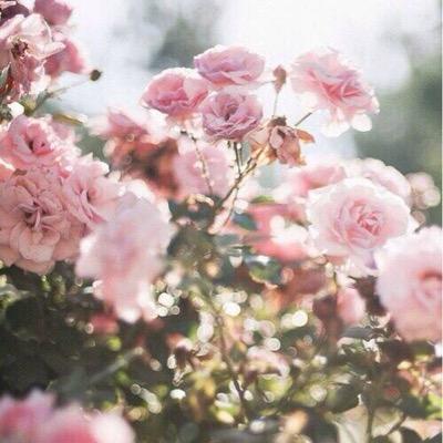 Ritachannn's profile picture. 