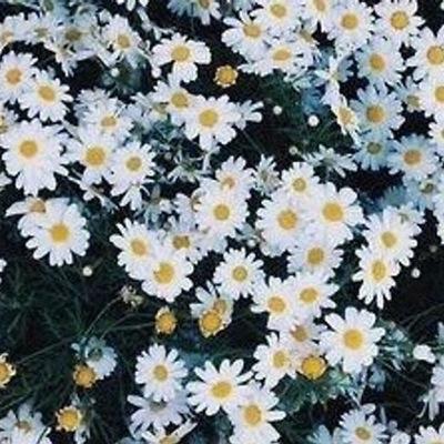 hemmo0001's profile picture. spreading good vibes (-: