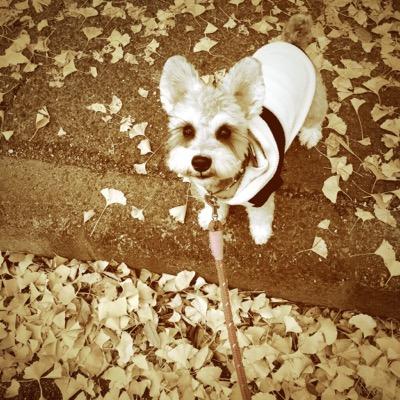 kyさんのプロフィール画像