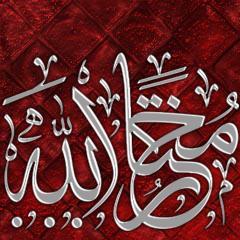 ترجمہ وکالم نگار||رکن رابطۃ الأدب الإسلامی