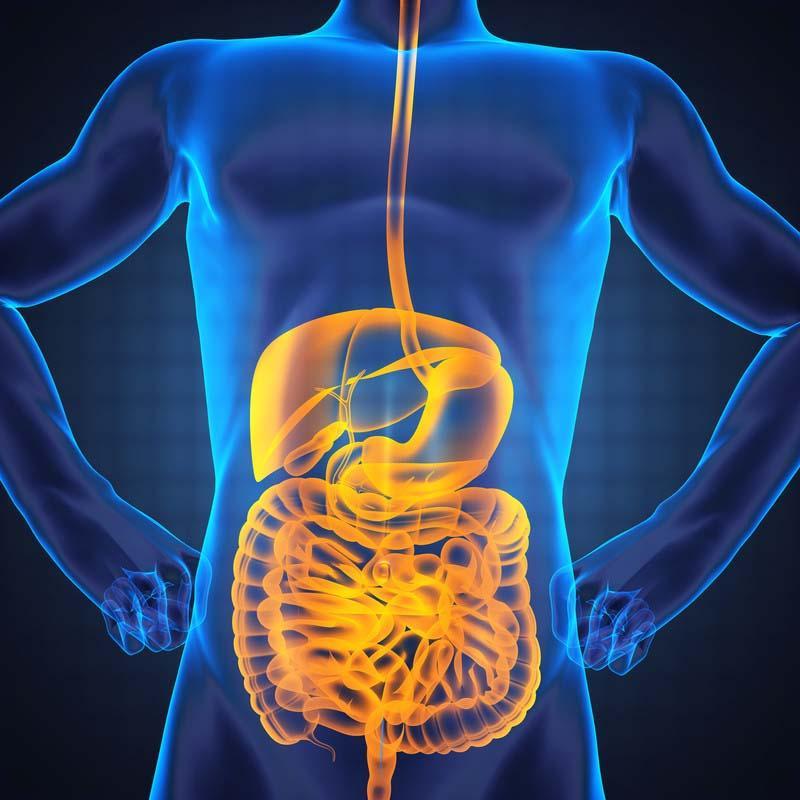 vlabmicrobiome Profile Picture