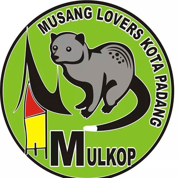peecinta musang padang