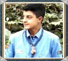 LorenzoZanghi's profile picture. 