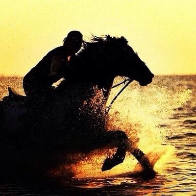 Fahammari's profile picture. 