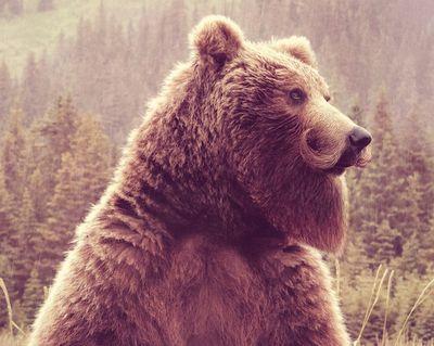 El_Crovax's profile picture. ~ cuando grande quiero ser superhéroe ~