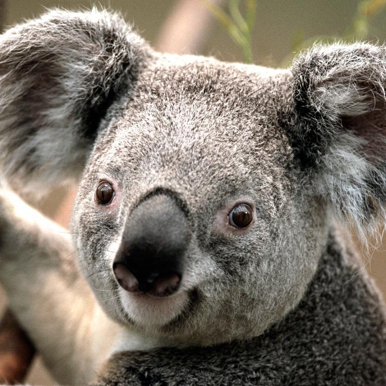 ChitaFoto's profile picture. 