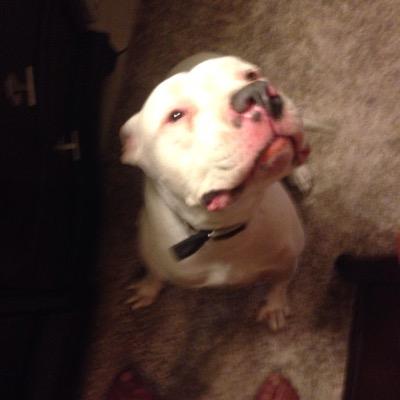 rodrigojrod's profile picture. 