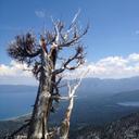 Matt Karp - @thatsalottakarp - Twitter