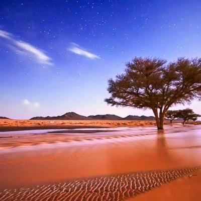تم الغاء الحساب