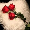 safo. (@1973Safia) Twitter