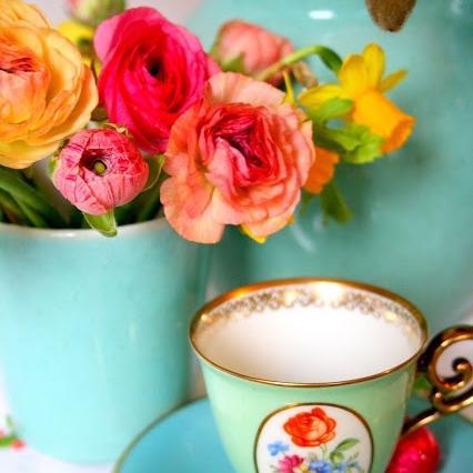 DavisonAleisha's profile picture. 