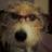 joannama's profile image