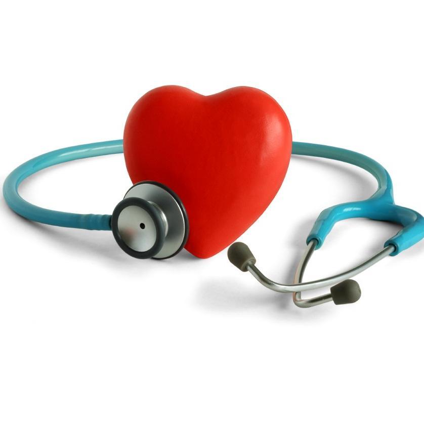 bddrugs24's profile picture. 