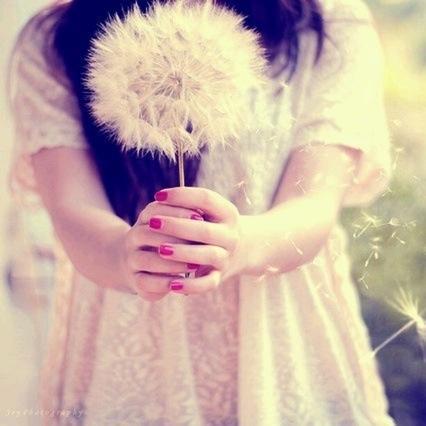 vivicody14's profile picture. 