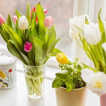 DawsAlmarina's profile picture. 