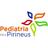 PedPirineus's profile image