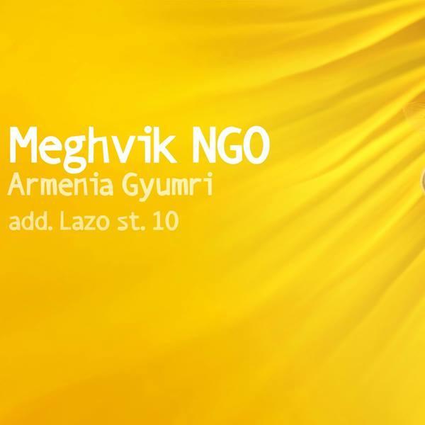 MeghvikNGO's profile picture. 
