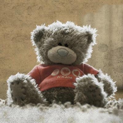 _littlebees's profile picture. 