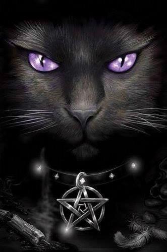 pentz_ce's profile picture. 