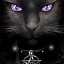 chris pentz - @pentz_ce - Twitter