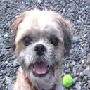 Hope Morrow - @TraumaTrekster - Twitter