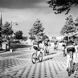 Wielrennen | MTB | Bommelerwaard | HOOYMANS compost | KDV de JUTTER | Multi Instruments Analytical | Tandartsenpraktijk de Seringen | Bikecenter van Tuyl |