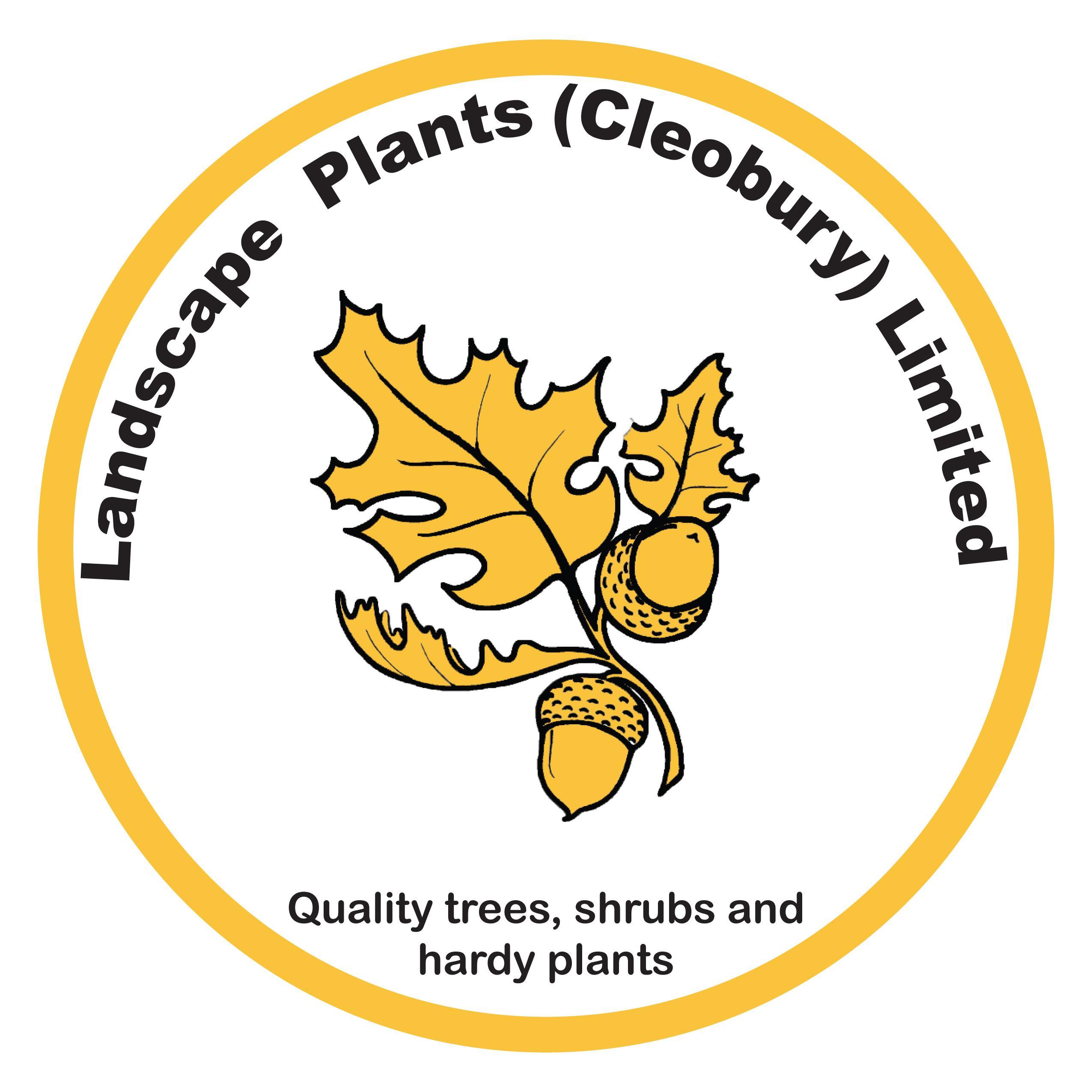 Providing the Local community with trees and plants at wholesale prices.