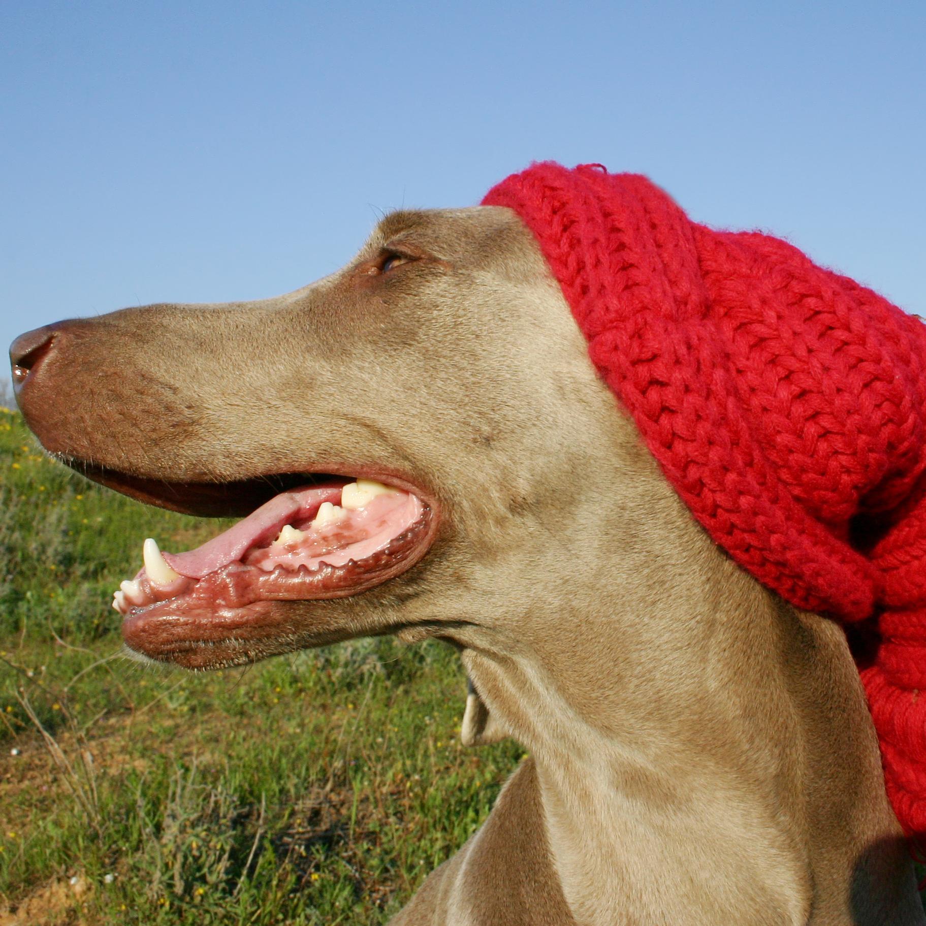 fretule's profile picture. 