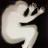 Ant_Zant's profile image