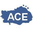 acespacenewbury Profile Picture