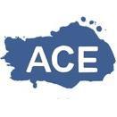 AceSpace Newbury(@acespacenewbury) 's Twitter Profile Photo
