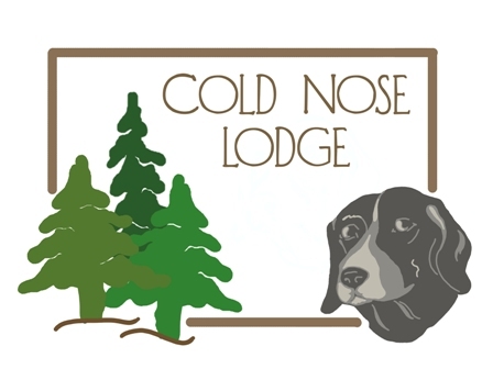 coldnoselodge's profile picture. Cold Nose Lodge luxury dog center, offering dog daycare, boarding, training, grooming and boutique.
