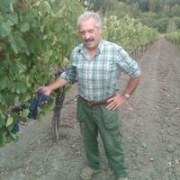 Terre Nere (@terrenere1) 's Twitter Profile