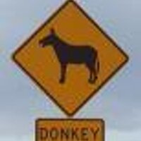 Y2k509 (@y2k509) 's Twitter Profile