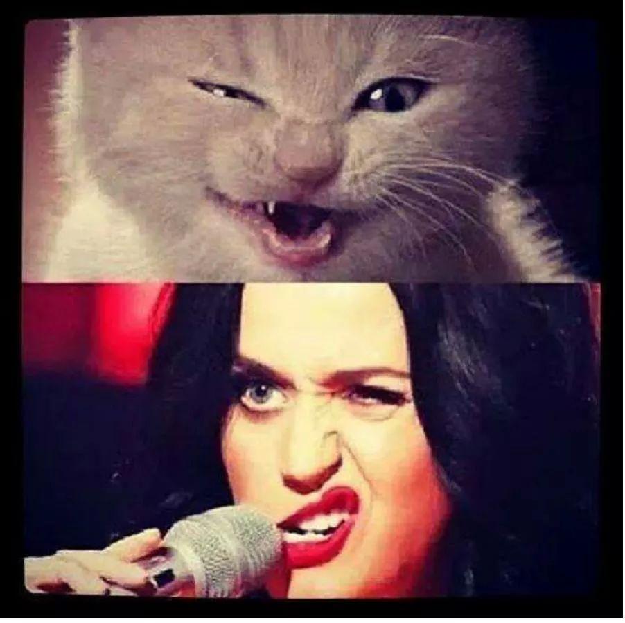 eliza83515's profile picture. 