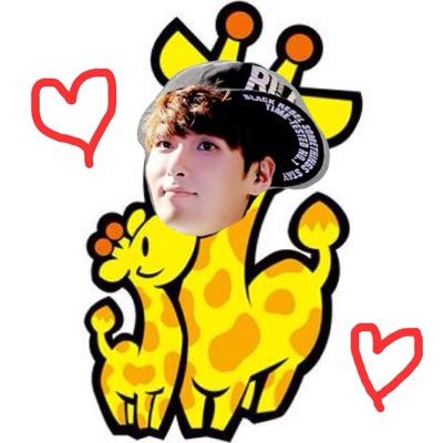 リョウクさんのキリン Ryeowook 1008 Twitter