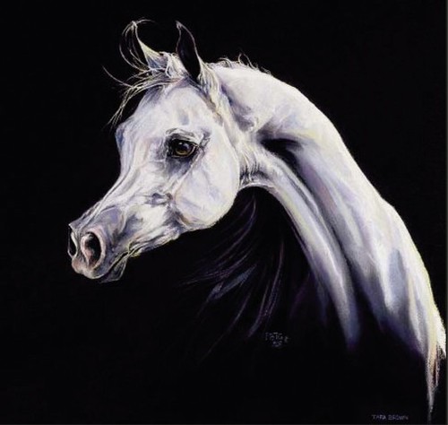 Love horses, love music, love poetry, love to have fun and love everything Green :D