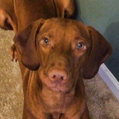 Jencroft01's profile picture. 