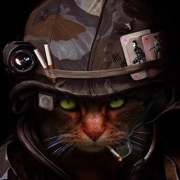 взаимный фолловинг