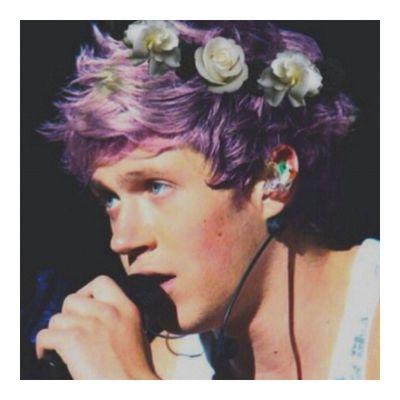 ¡un seguidor más! sígueme en @NiallHoorxn ♥     //     free follow! follow me on @NiallHoorxn ♥